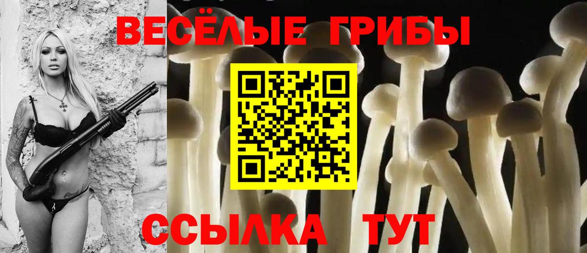Галлюциногенные грибы мухоморы Самара